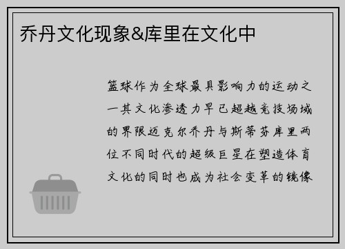 乔丹文化现象&库里在文化中