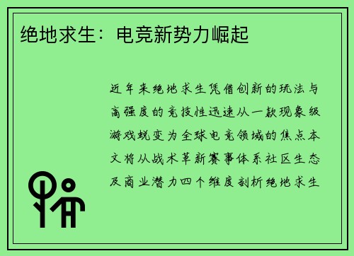绝地求生：电竞新势力崛起